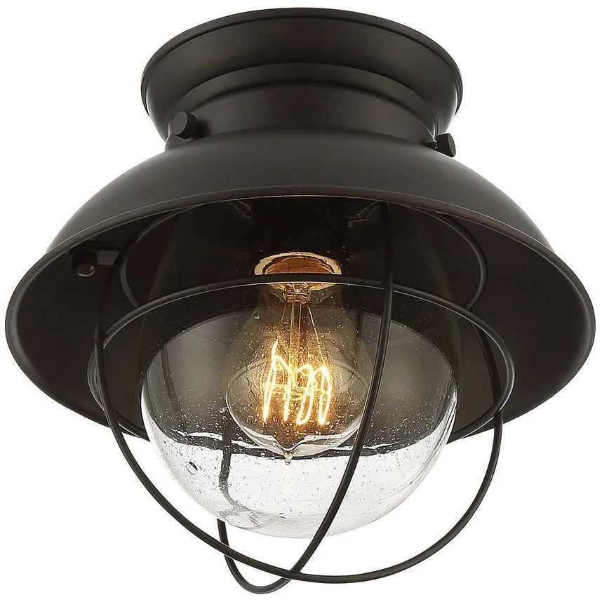 1-Light Ceiling Light