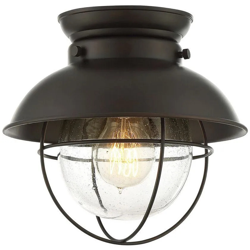 1-Light Ceiling Light