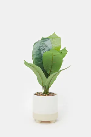 Artificial Plant In Ceramic Pot