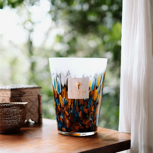 Baobab Collection | Rainforest Mayumbe Scented Candle