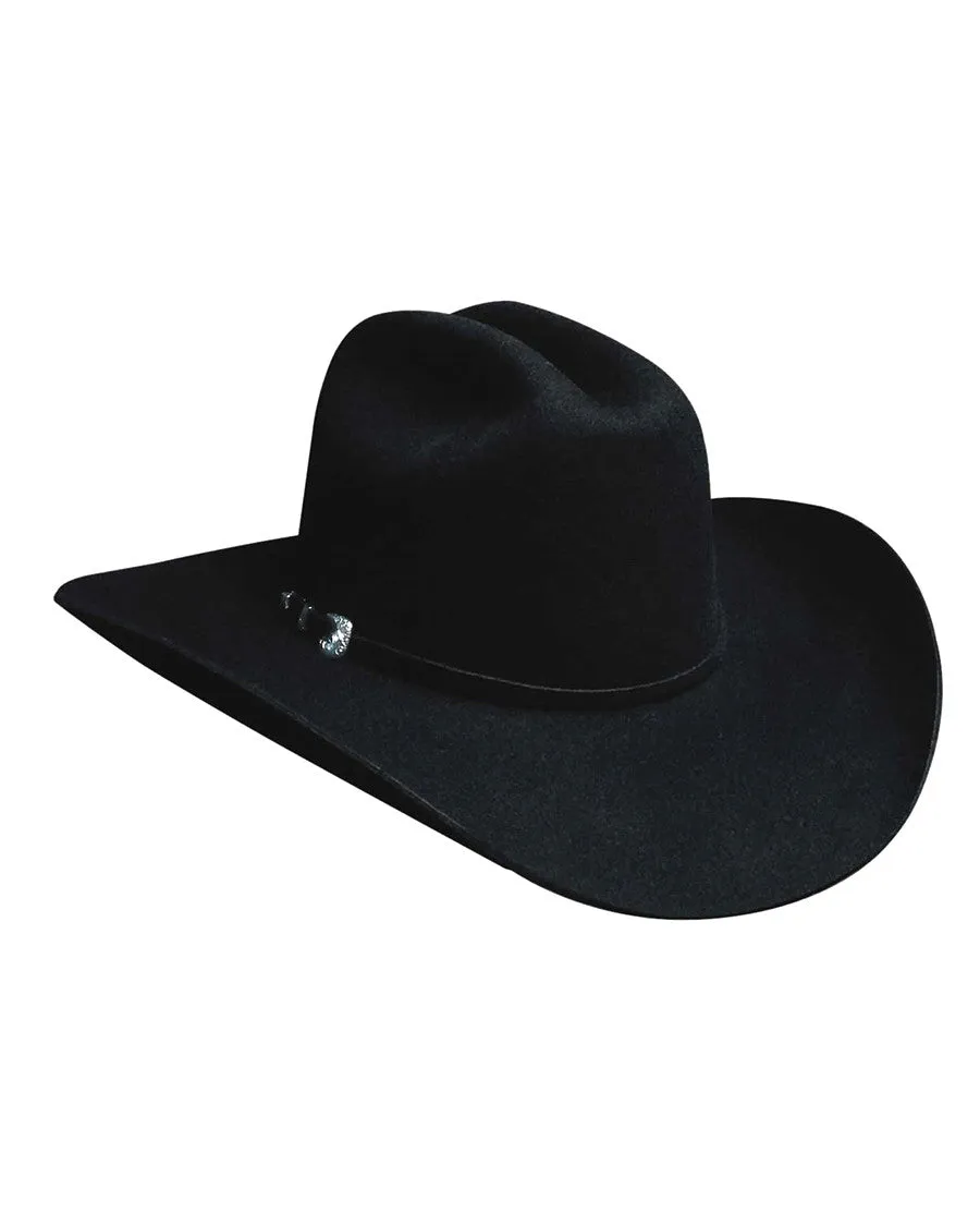 Bullhide Ruidoso 6X Wool Hat