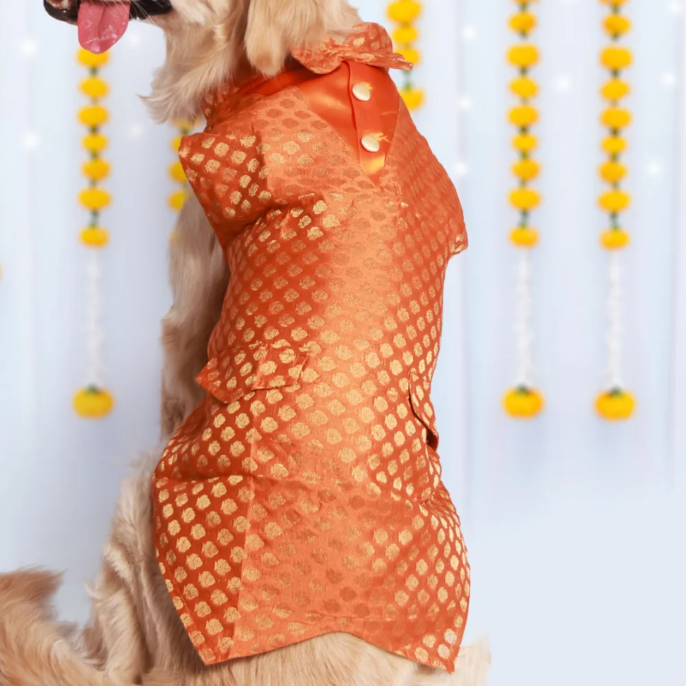 Pack of 2 Dog Kurtas Bliss