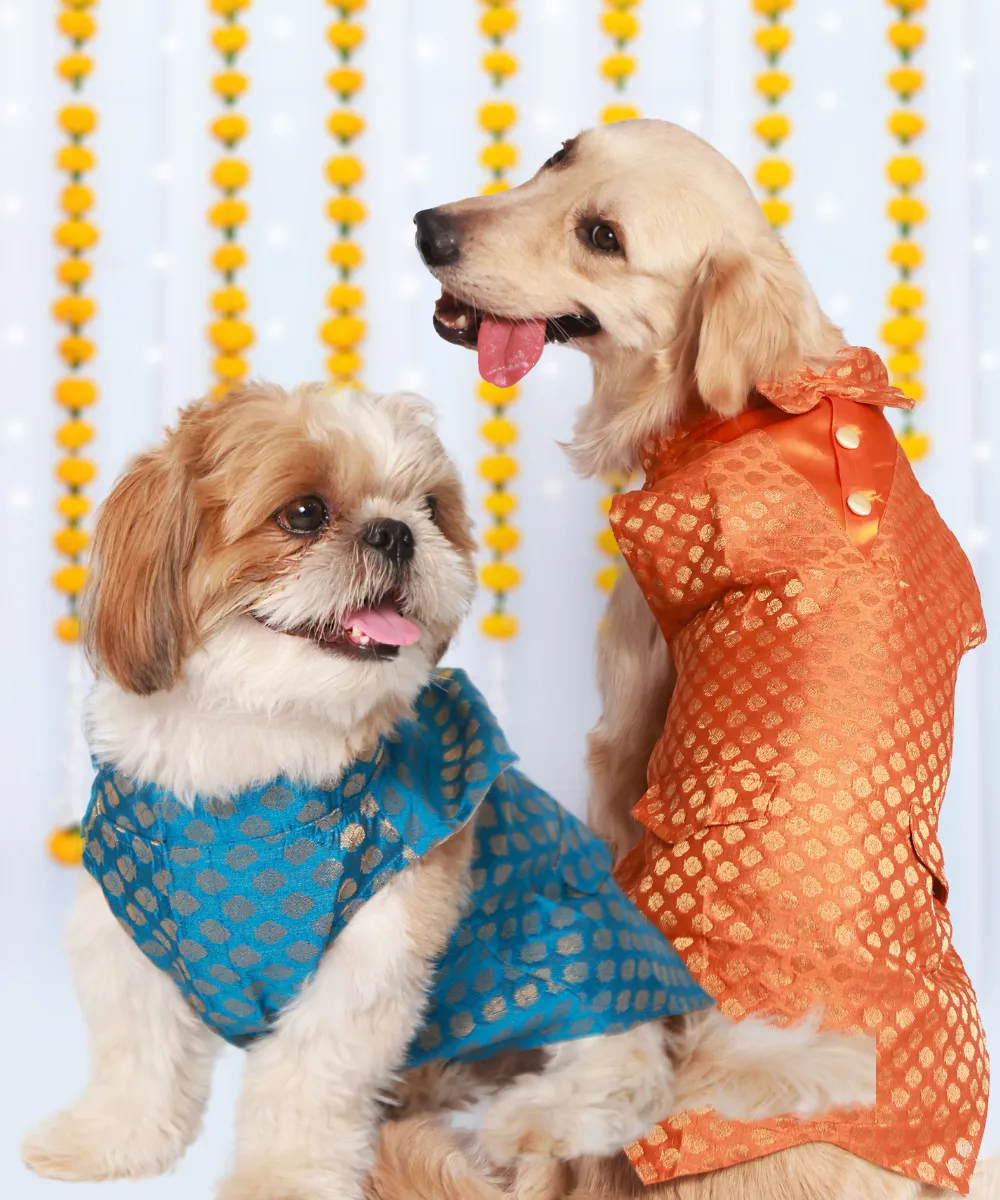 Pack of 2 Dog Kurtas Bliss